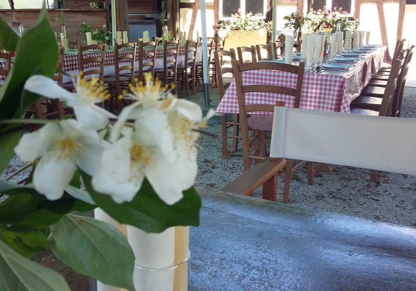 wp_upload_proxy799522705.